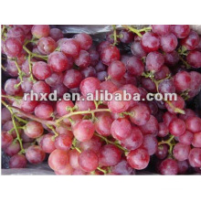 crimson seedless grape with factory best price export